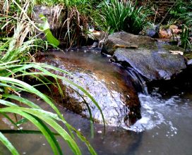 СϪ��ˮϺ��